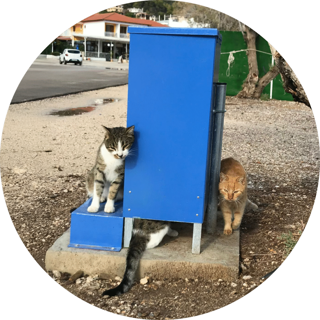 Our Actions - Feeders and watertubes