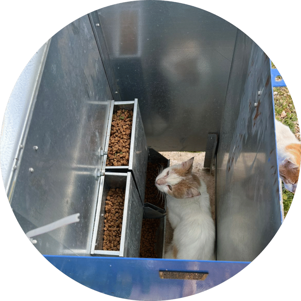 Our Actions - Feeders and watertubes