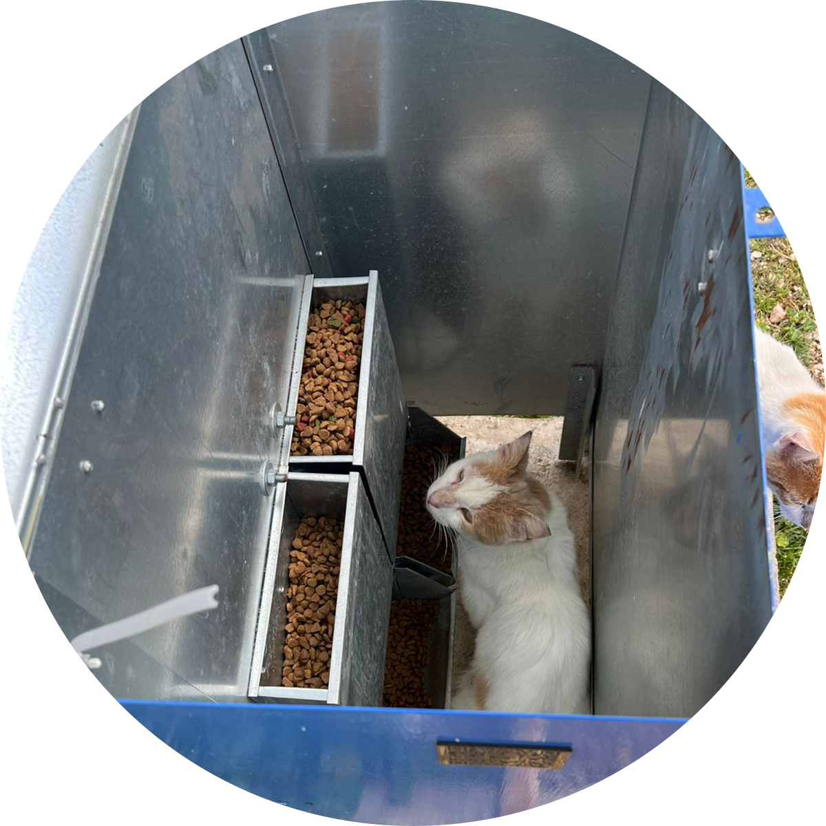 Our Actions - Feeders and watertubes