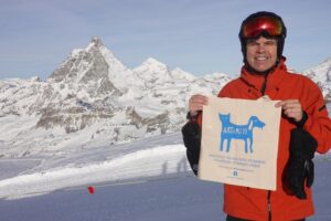 Artamiti Bag Travelling