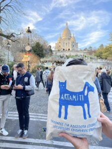 Artamiti Bag Travelling