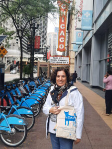 Artamiti Bag Travelling