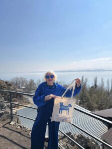 Artamiti Bag Travelling