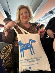 Artamiti Bag Travelling