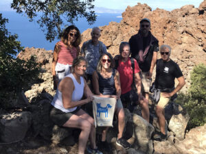 Artamiti Bag Travelling