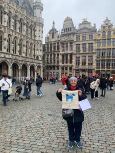 Artamiti Bag Travelling