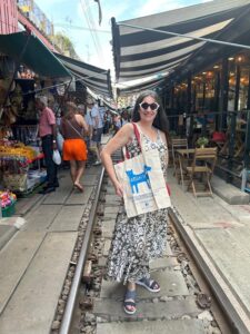 Artamiti Bag Travelling