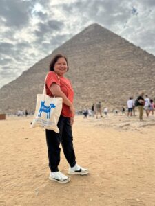 Artamiti Bag Travelling