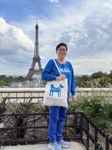 Artamiti Bag Travelling