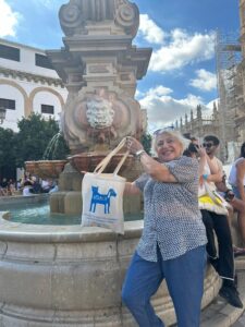 Artamiti Bag Travelling