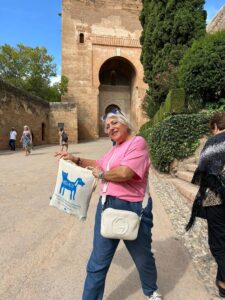 Artamiti Bag Travelling