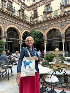 Artamiti Bag Travelling