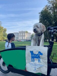 Artamiti Bag Travelling