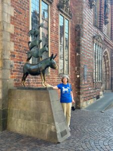 Artamiti Bag Travelling