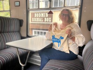 Artamiti Bag Travelling