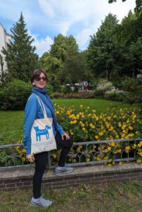 Artamiti Bag Travelling