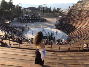 Artamiti Bag Travelling