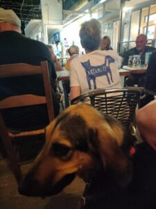 Artamiti Bag Travelling