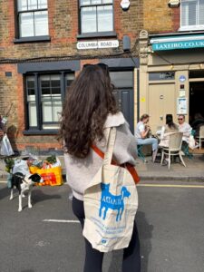 Artamiti Bag Travelling