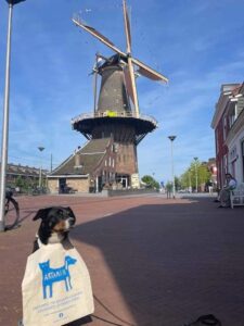 Artamiti Bag Travelling