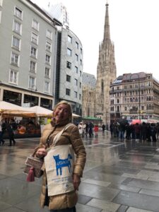 Artamiti Bag Travelling