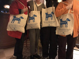 Artamiti Bag Travelling