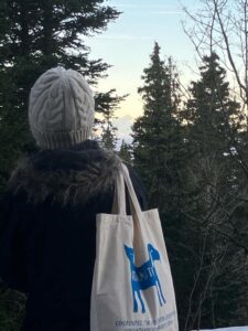 Artamiti Bag Travelling