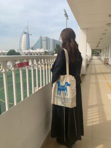 Artamiti Bag Travelling