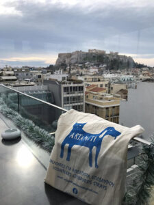 Artamiti Bag Travelling