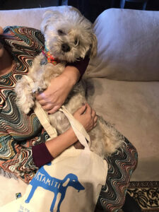 Artamiti Bag Travelling