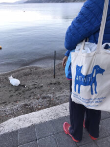 Artamiti Bag Travelling