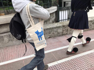 Artamiti Bag Travelling