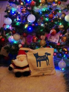 Artamiti Bag Travelling