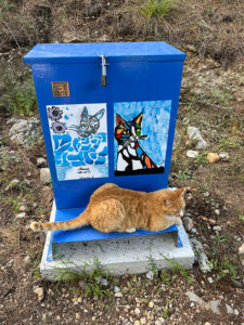 Artamiti Feeder and Water Tube