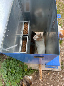 Artamiti Feeder and Water Tube