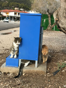 Artamiti Feeder and Water Tube